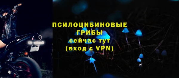 мет Абаза