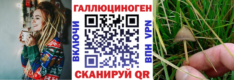 что такое   Холм  Псилоцибиновые грибы прущие грибы 